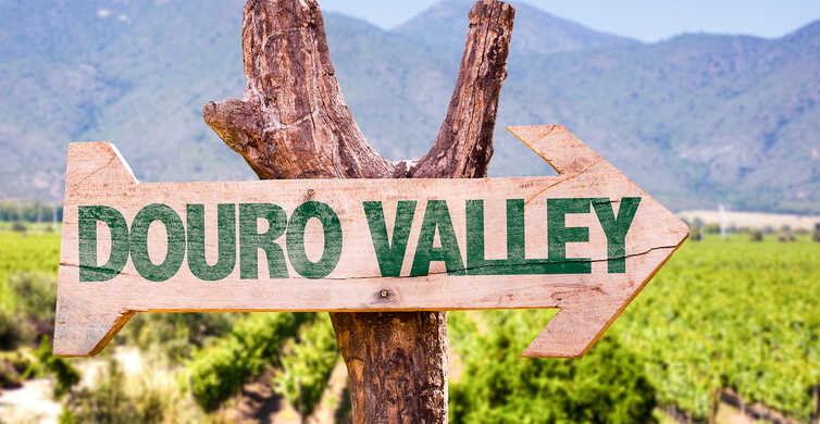 Desde Oporto: valle Duero, crucero, cata de vino y almuerzo