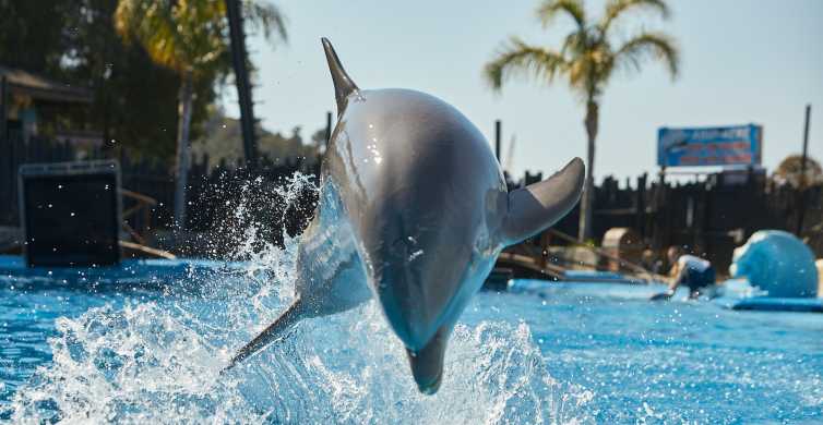 Benidorm: entrada de 1 día al parque de animales de Mundomar