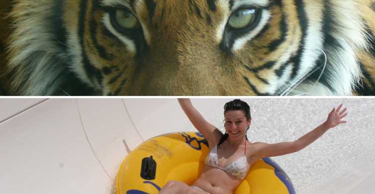 Benidorm: entrada de un día a Terra Natura y Aqua Natura