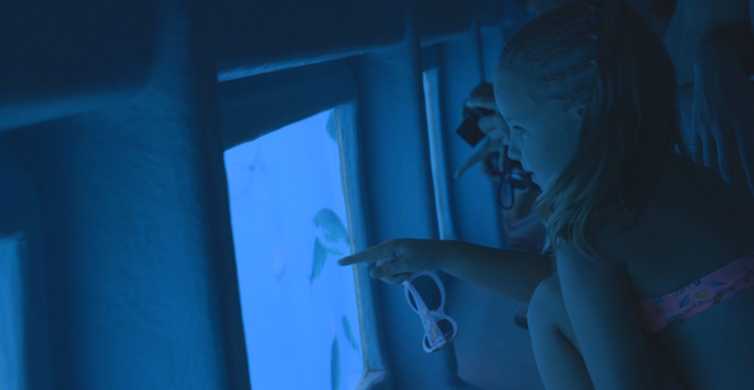 Roses: paseo en catamarán de 2 horas por la Costa Brava con vista submarina