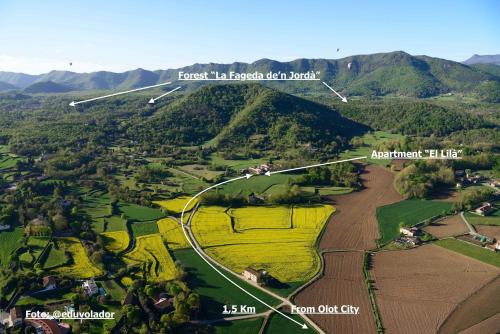 Apartamento "El Lilà"