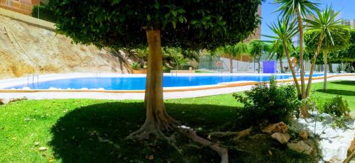 Apartamento Entreplayas 2