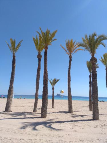 Apartamento Orly centro