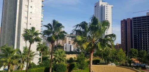 Benidorm beach Buena Vista