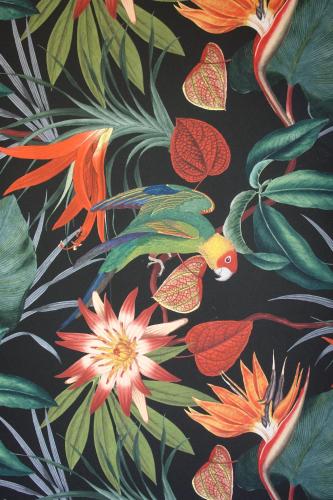 Blue Sunset - Apartamento Valentina