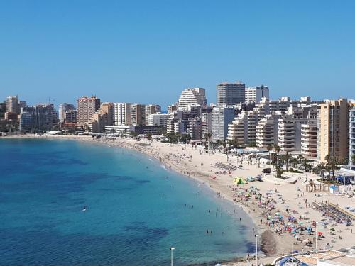Calpe Centro Turist 1 Linea President