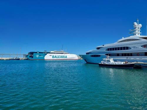 Apartamentos en Denia frente al Puerto!