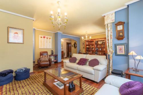 Funi-Campo Volantín