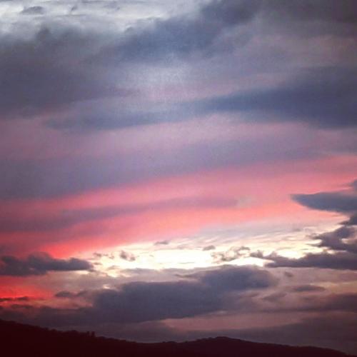 Kinema Natura- La casa de la Kalma