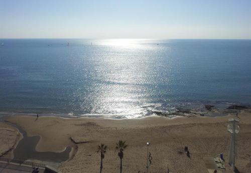 Large frontline apartment