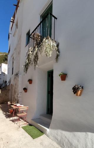 Rústica bodeguilla recién remodelada como estudio
