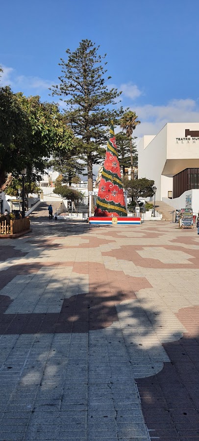 Arbol De Navidad Tarifa