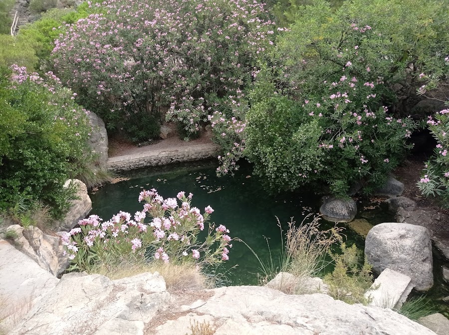 Area Recreativa Font Major