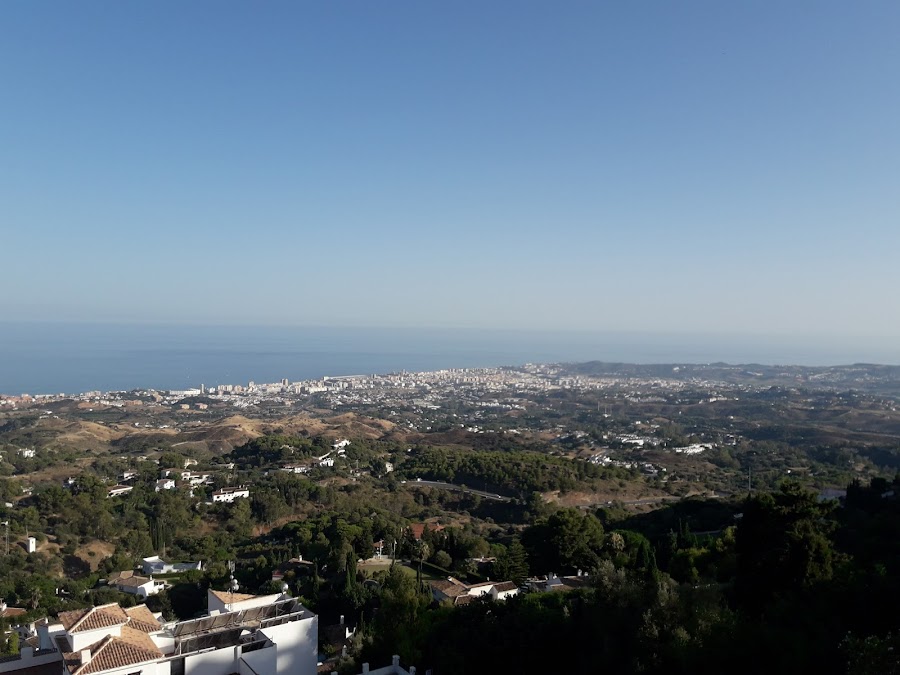 Estatua De Bronce En Honor A Los Burros