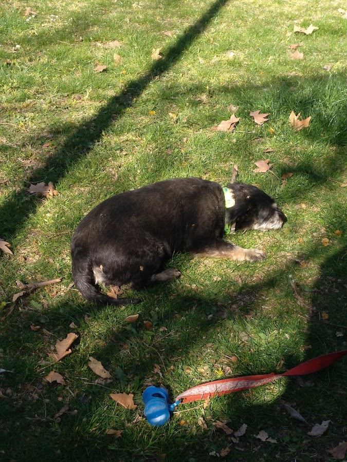 Jardín de los Gozos y las Sombras