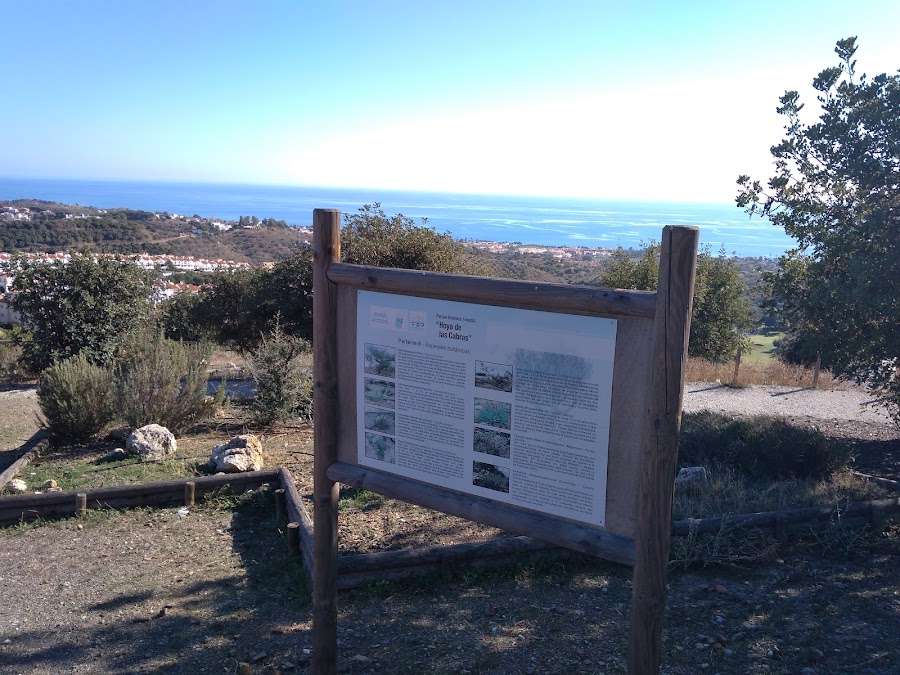 Hoya De Las Cabras (Parque Forestal)