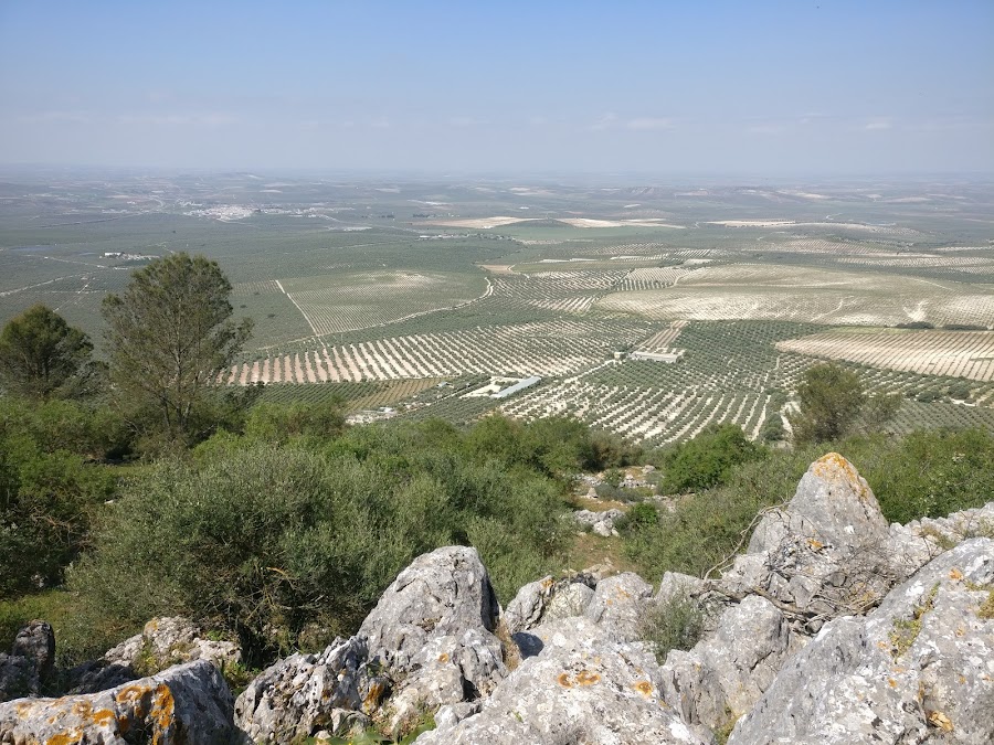 Mirador De La Acebuchosa