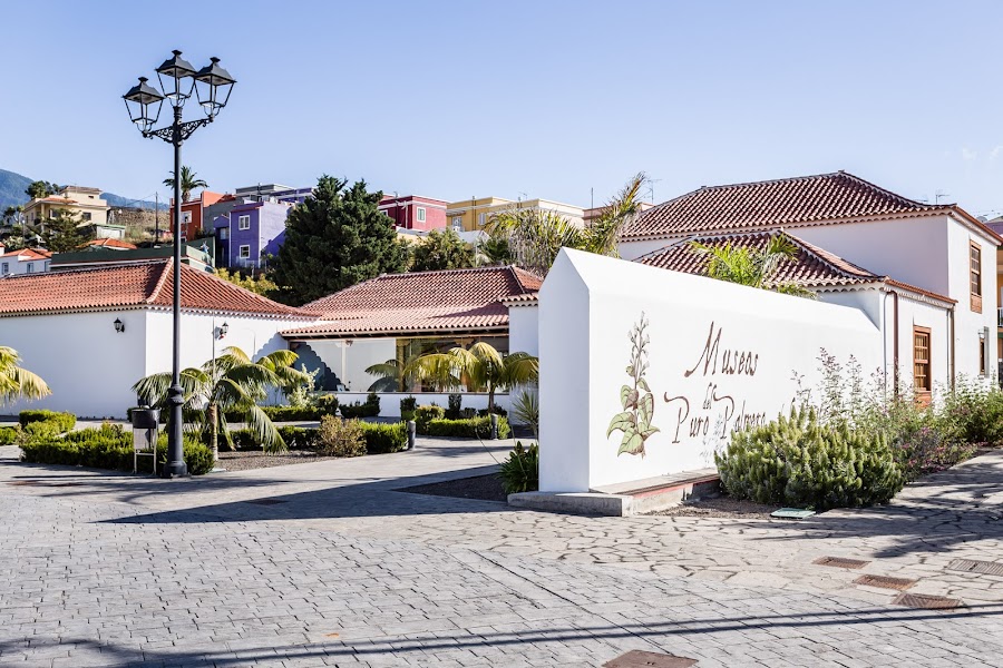 Museo Del Puro Palmero