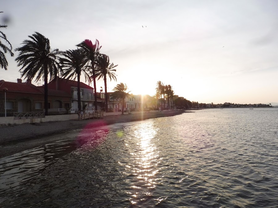 Paseo Miguel Hernández