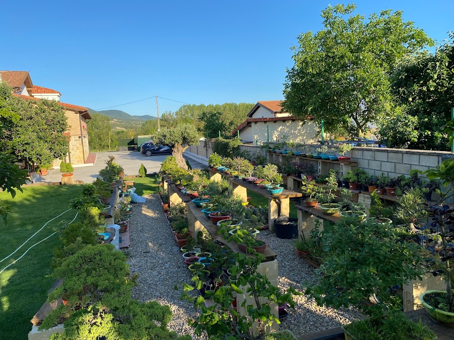 Romanca Hotel Restaurante